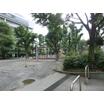 公園