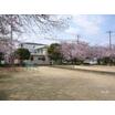 公園