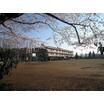 中学校