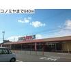 販売店