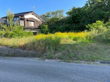 南道路で西側に千里浜海岸が遠望できます