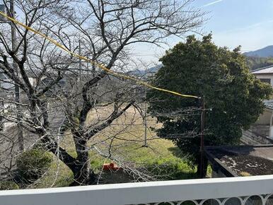 隣の公園。春には桜が満開になります。