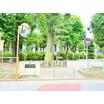公園