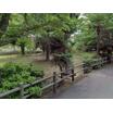 公園