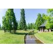 公園