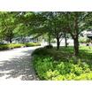 公園