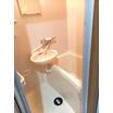 バス/シャワー