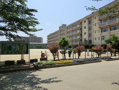 松戸市立横須賀小学校