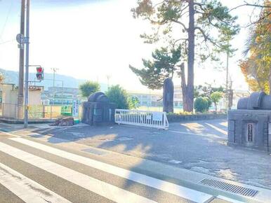 千松小学校