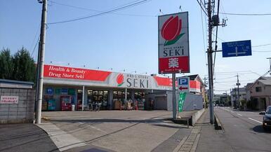 ドラッグストアー　セキ　上小町店