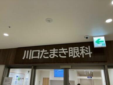 川口たまき眼科