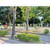 公園