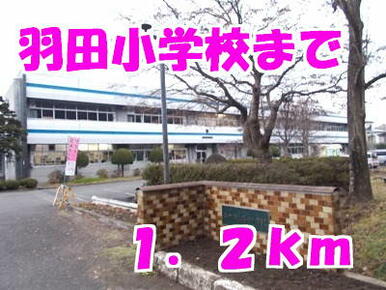 羽田小学校