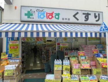 どらっぐぱぱす　谷中店