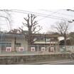 幼稚園、保育園