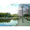 公園