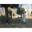 公園