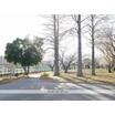公園