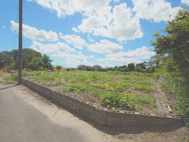 土地は広々１５０坪！　建築条件なし！お好きなハウスメーカーで建築できます！