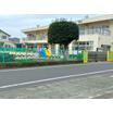 幼稚園、保育園