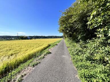 西側道路写真。幅員約２．１ｍの公道です。