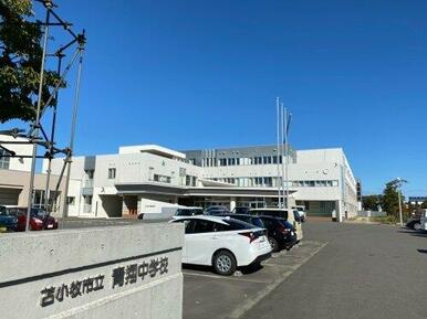 青翔中学校