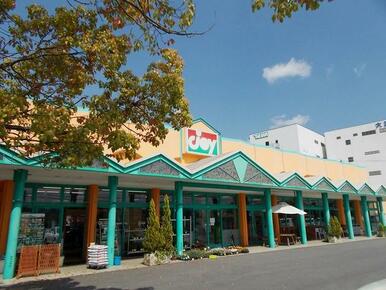 ジョイショッピングセンター甲賀