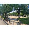公園