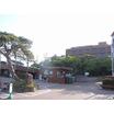 大学