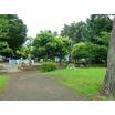 公園