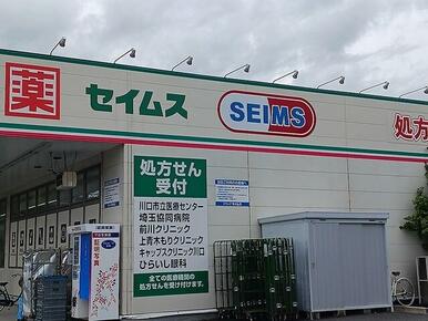 ドラッグセイムス前川2丁目店