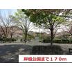 公園