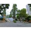 公園