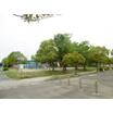 公園