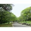 公園