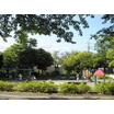 公園