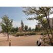 公園