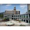 大学