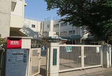 緑野小学校