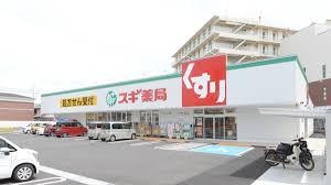 スギ薬局阪南黒田店
