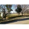 公園