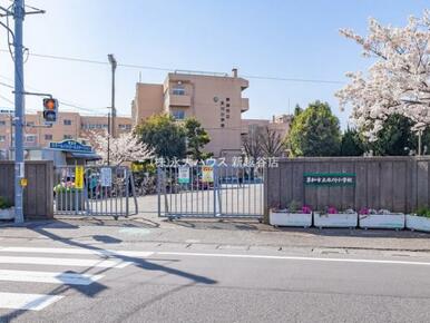 草加市立氷川小学校：約490ｍ