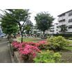 公園