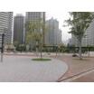 公園