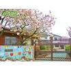 幼稚園、保育園