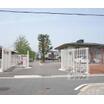 幼稚園、保育園