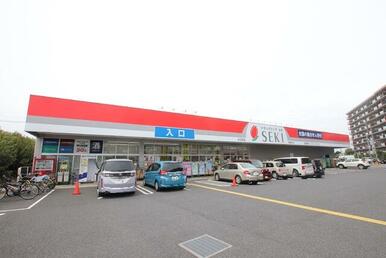 ドラッグストアセキ 向陽町店