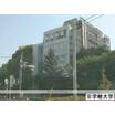 大学