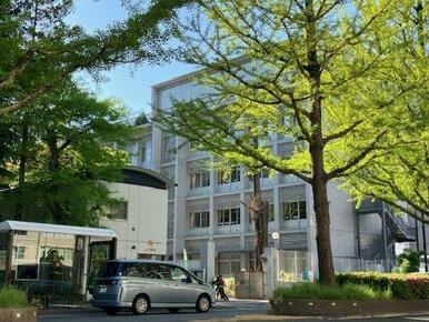 仙台市立木町通小学校