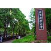大学